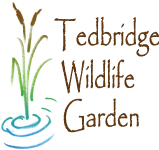 Tedbridge Wildlife Garden